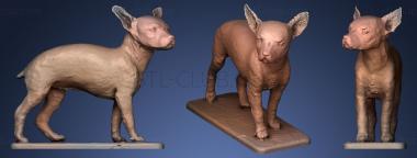 3D model Miniature Pinscher (STL)